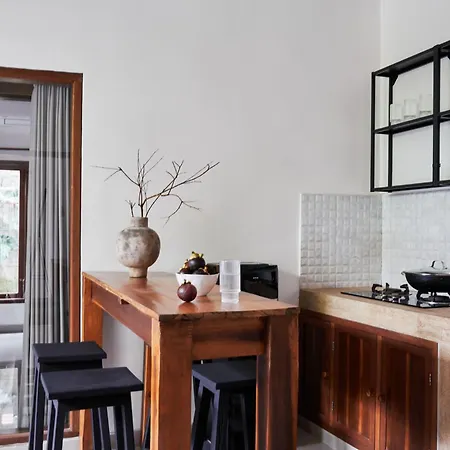 Villa Parq Ubud 2 Bedrooms-2